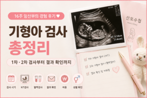 기형아 검사 시기와 1차·2차 검사 총정리